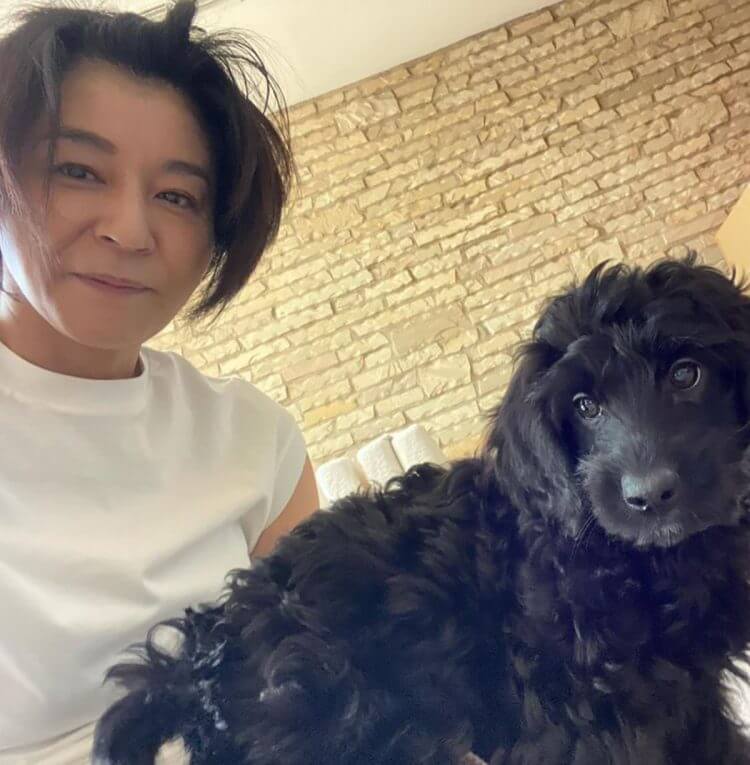 高嶋ちさ子が愛犬への虐待批判に猛反論　「フォロー外してください」「せっかくの1日が不愉快になります」の画像1