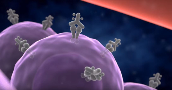 がん細胞だけを破壊する「光免疫療法」の革命の画像1