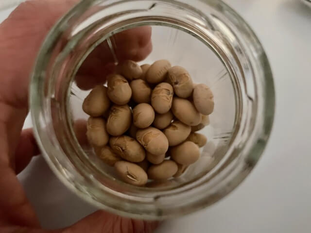 余った節分豆を無限に食べられた！　Twitterでバズった激ウマ・ハニーナッツのレシピを実作の画像3