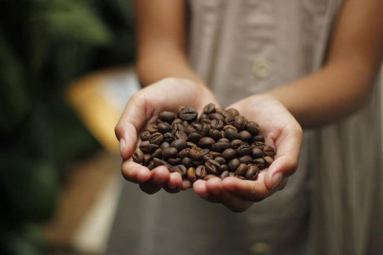 おうち時間を彩る「Comma Lab Coffee（コンマラボ・コーヒー）」 フライパンひとつでコーヒーの焙煎体験の画像3
