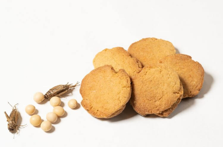 環境にも人にもやさしい「昆虫食専門店がつくった 大豆とコオロギのクッキー」新発売の画像3