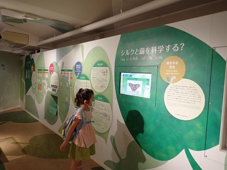 横浜「シルク博物館」へ行ってきた！　虫の働きを学んだら「家畜」を理解できるかな？の画像5