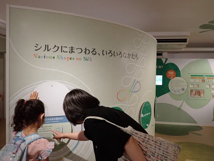 横浜「シルク博物館」へ行ってきた！　虫の働きを学んだら「家畜」を理解できるかな？の画像6