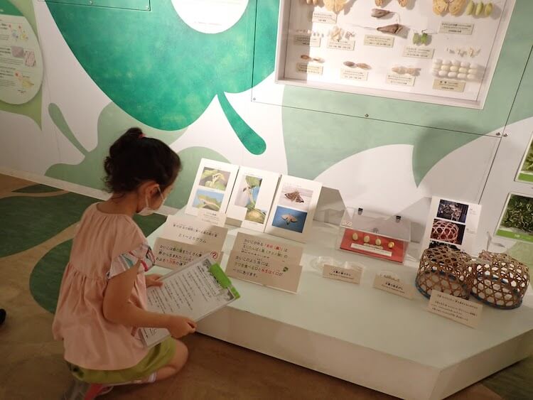 横浜「シルク博物館」へ行ってきた！　虫の働きを学んだら「家畜」を理解できるかな？の画像7